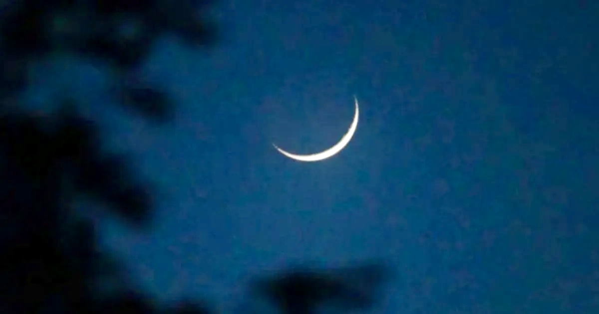 ঈদুল আজহার তারিখ: সবার আগে ঘোষণা দিল তিউনিসিয়া-তুরস্ক